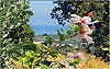 Agia Triada (Rethymnon): Sea view from the garden of Villa Francesca