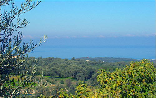 Agia Triada (Rethymnon): View of the bay